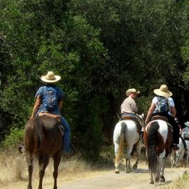 Equestrian Trail Ride: Horseshoe Loop to Fremont