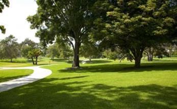 Path through turf area with landscape trees