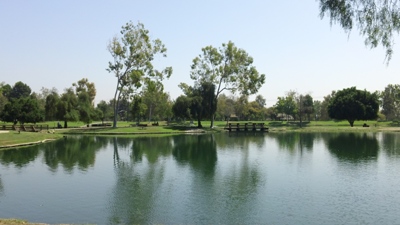 Lake surrounded by green grass