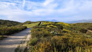 Riley Wilderness Park