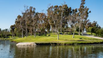Craig Regional Park Lake Restoration Project
