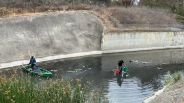 Laguna Niguel