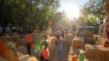 Fall-O-Ween_2025