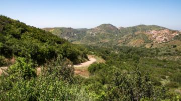 Whiting Ranch Wilderness Park