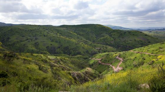 A view of Santiago Oaks and Weir Canyon.