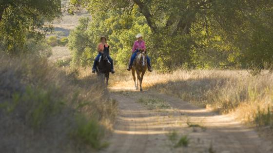 The Lure and Lull of Limestone Canyon Equestrian Ride to The Sinks or Dripping Springs