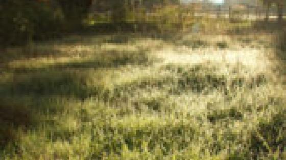 Discover Hidden Canyons, Limestone Canyon