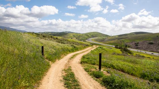 Saddleback Wilderness