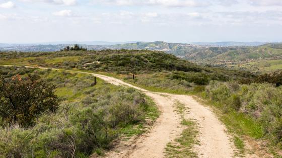 Saddleback Wilderness