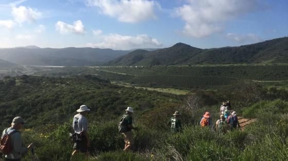 Fitness Hike at Ridge Park