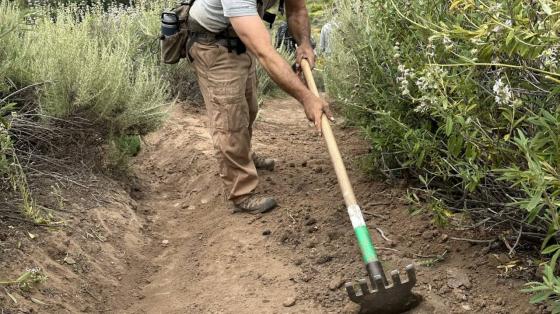 Trail Steward -Mariposa