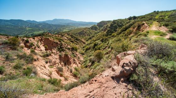 Red Rock Wilderness