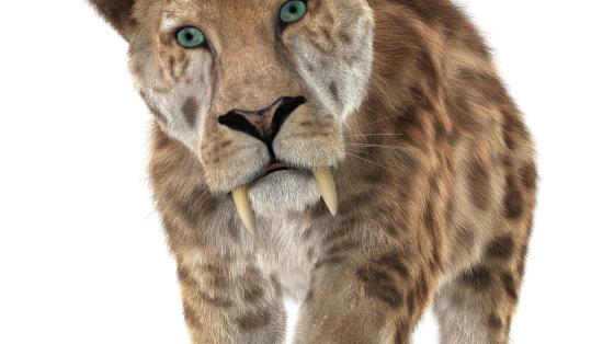 smilodon