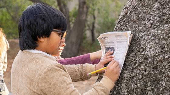 Jr. Ranger Program_5