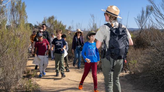 junior ranger program down trail