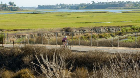 biker on the bay