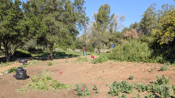Habitat Adventure Trail Restoration