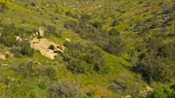 Weir Canyon Rifle Range Loop