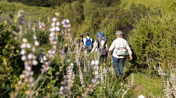 Hiking 102