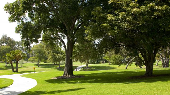 Paved pathway running through a grassy area with trees