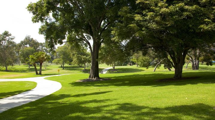 Green grassy area with a paved path and trees