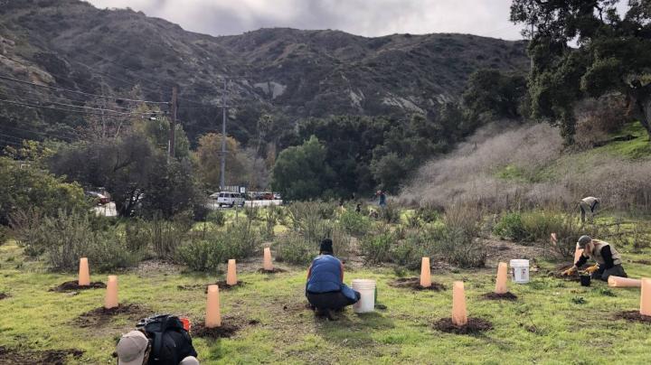 Keep It Wild Native Plant Nursery Stewardship Event at Laguna Coast Wilderness Park