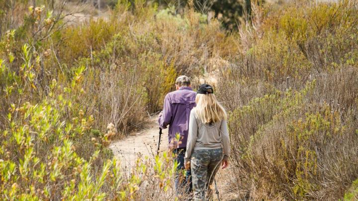 Reach for the Heights on Little Sycamore Trail