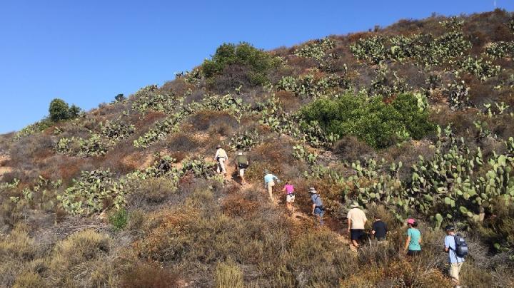 Walking in the Dilley Preserve