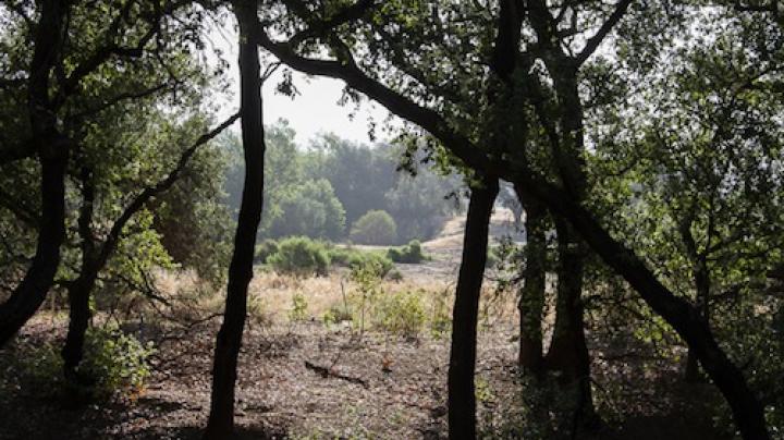 A view of Round Canyon in Limestone Canyon