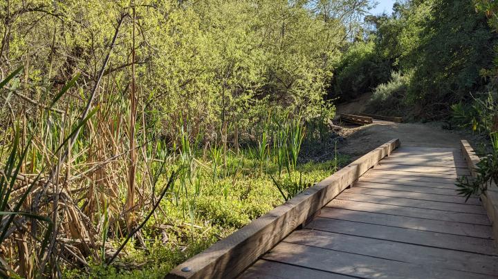 Peters Canyon Creek Trail Bridge