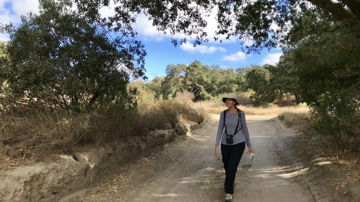 Early Morning Advanced Hike, Whiting Wilderness Park