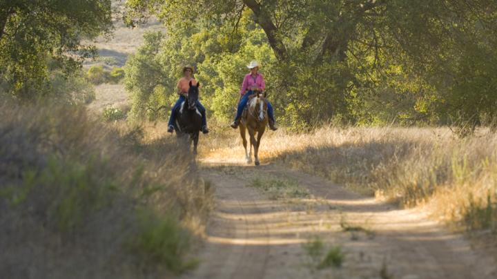 The Lure and Lull of Limestone Canyon Equestrian Ride to The Sinks or Dripping Springs