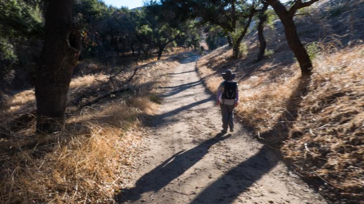 Weir Canyon Fitness Hike, Oaks to Overlook Loop