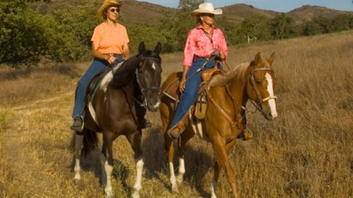 Equestrian Ride: Discover The Natural Wonders Of Weir Canyon