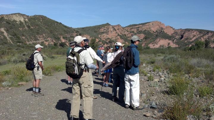 Hot Birds of Summer in Red Rocks, Bird Walk