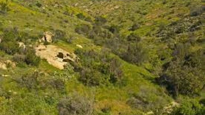 Intro to Cardio Hike: Weir Canyon Rifle Range Loop