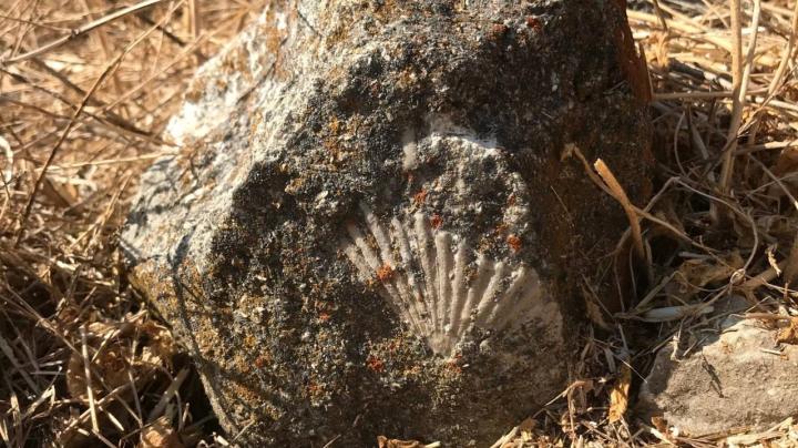 Geology Hike at Dilley