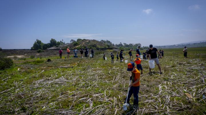 Upper Newport Bay restoration event 