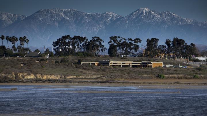 Upper Newport Bay in Winter