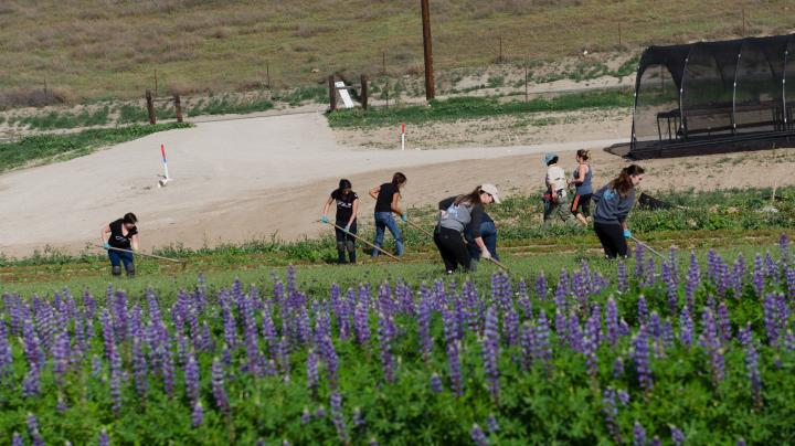 Native Seed Farm