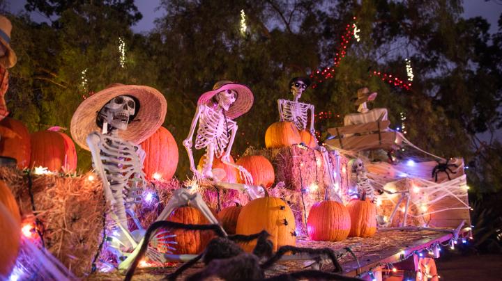 Skeleton decorations at Fall-O-Ween at Heritage Hill Historical Park. 