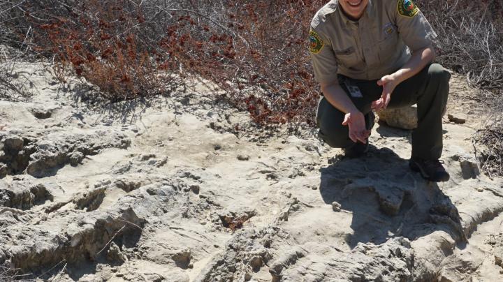 Fossil Bed at Clark