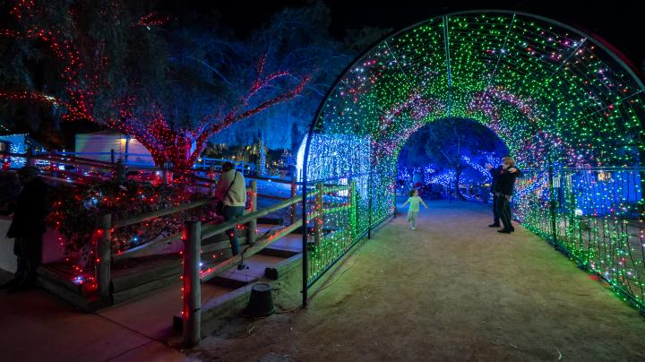 Light tunnel decoration at Holiday Lights at Heritage Hill Historical Park.