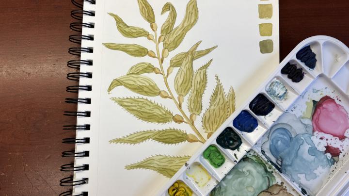 Watercolor Kelp