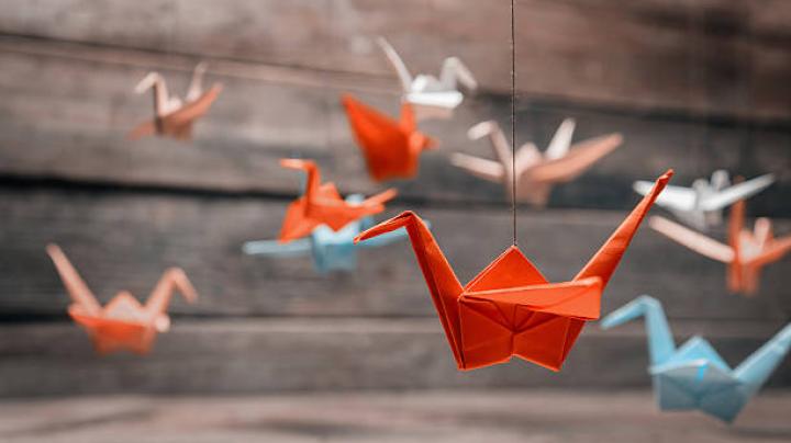 Origami cranes hanging