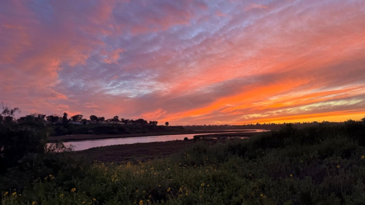 sunset over the back bay
