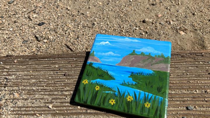 Picture of painted coaster laying on the ground