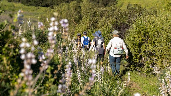 Hiking 102
