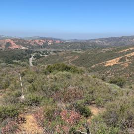 Hills covered with scrub with red cliffs in distance and blue sky above
