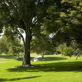 Paved pathway running through a grassy area with trees